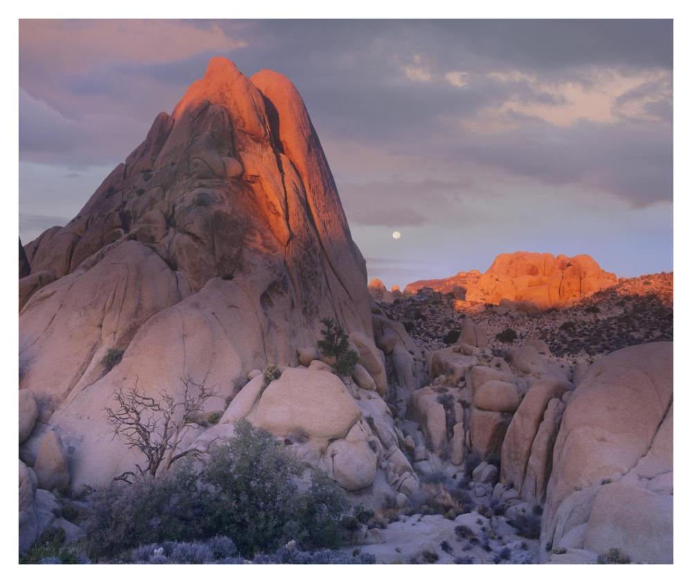 Moon Over Rocks, Joshua Tree National Park, California-Paper Art-38,,X31.88,,