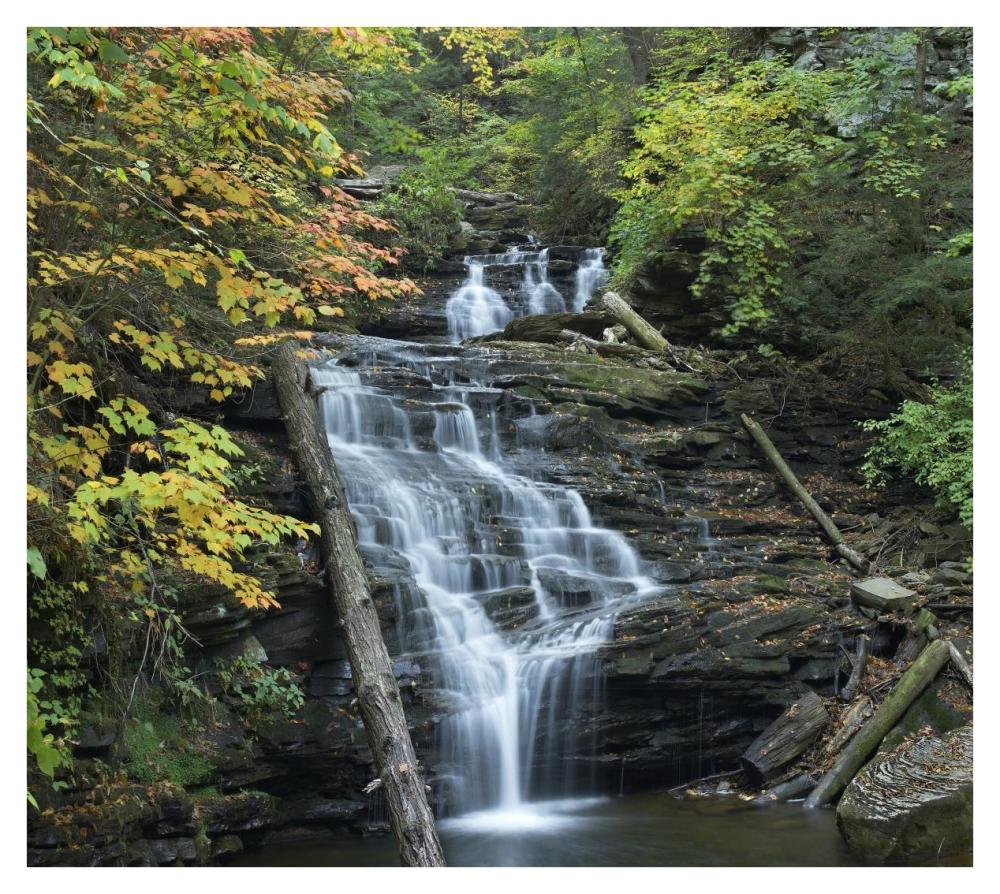 Delaware Falls, Ricketts Glen State Park, Pennsylvania-Paper Art-38,,X34.04,,