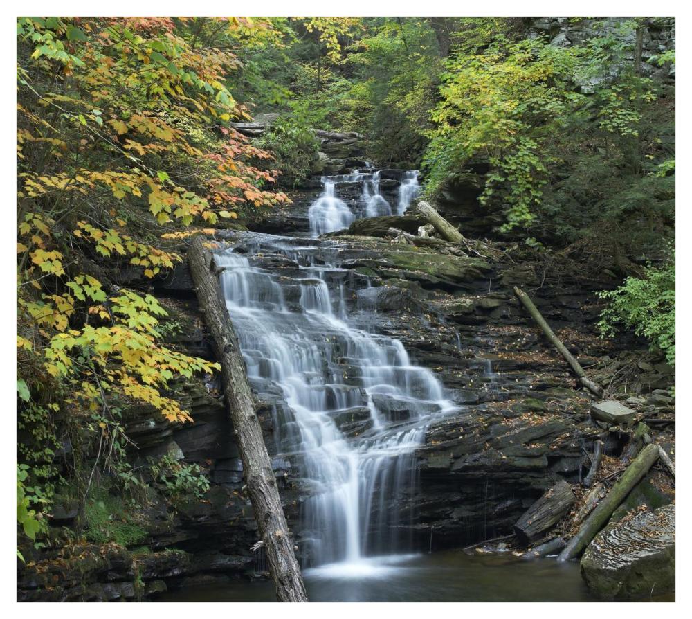Delaware Falls, Ricketts Glen State Park, Pennsylvania-Paper Art-42,,X37.6,,
