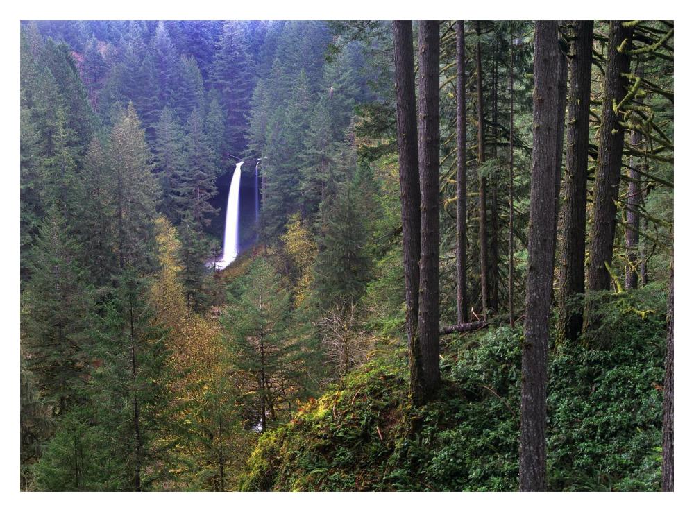 North Falls, Silver Falls State Park Near Salem, Oregon-Paper Art-18,,X14,,
