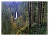 North Falls, Silver Falls State Park Near Salem, Oregon-Paper Art-18,,X14,,
