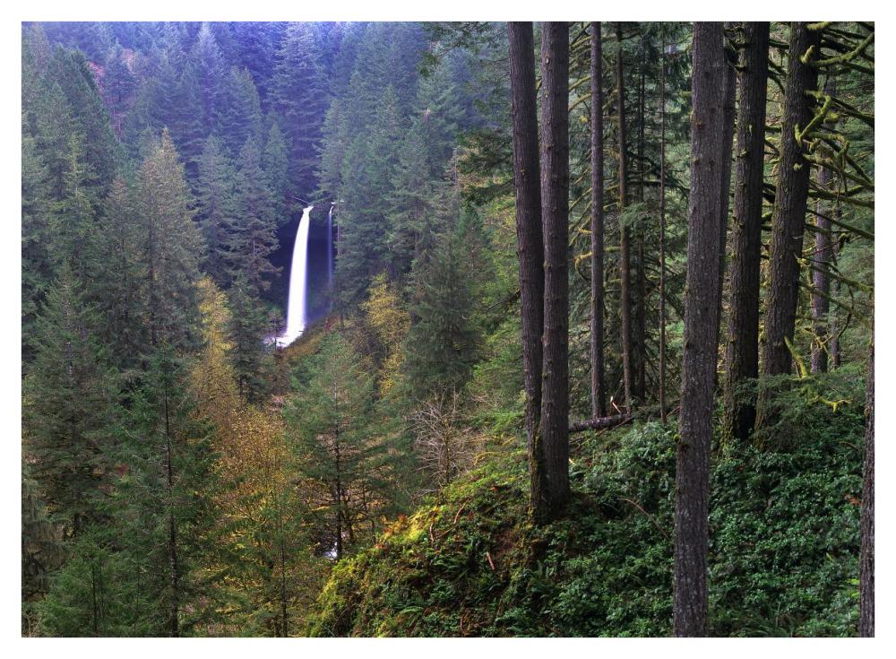 North Falls, Silver Falls State Park Near Salem, Oregon-Paper Art-42,,X32,,