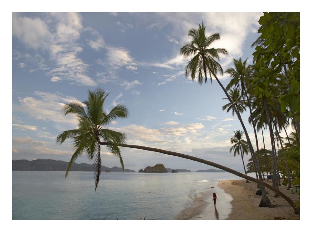 Tourist Walking Along Beach, Tortuga Island, Costa Rica-Paper Art-26,,X20,,
