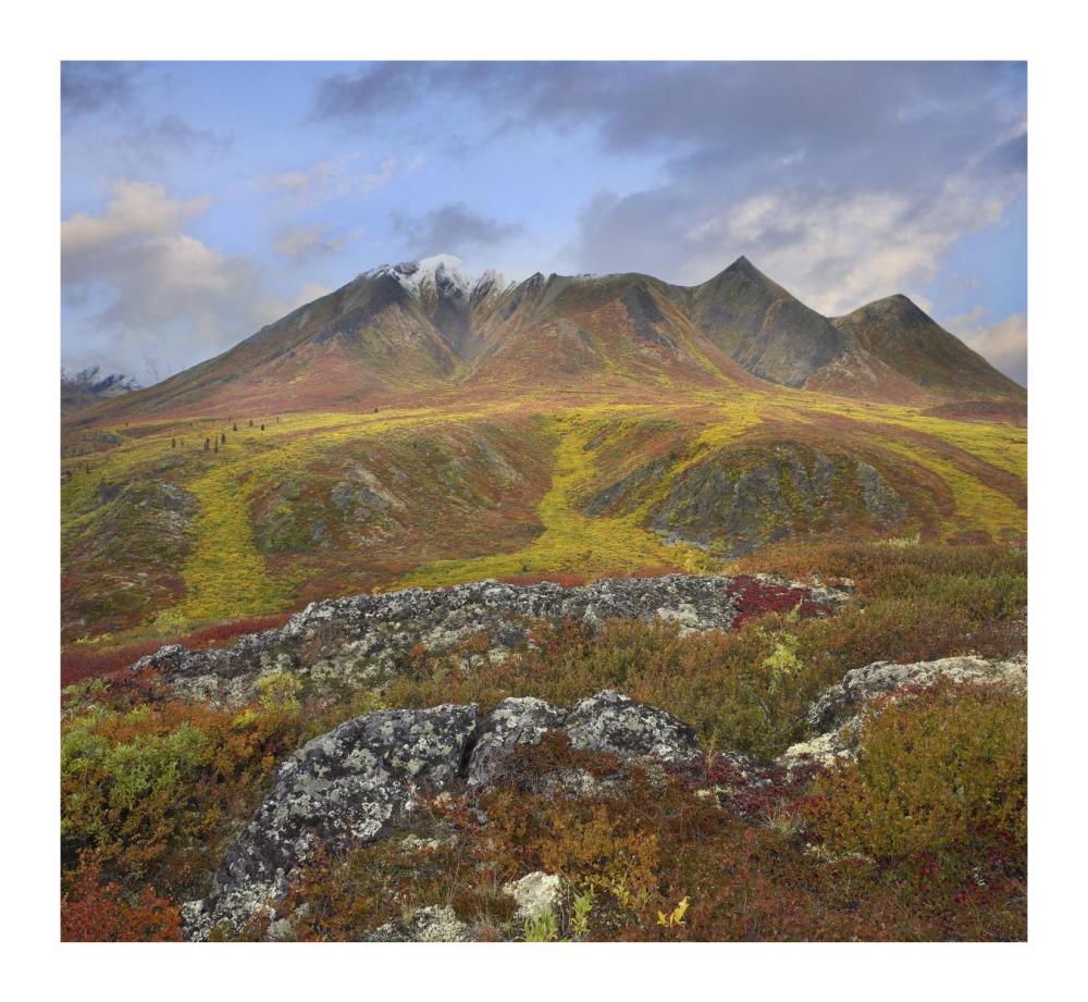 Cloudy Range, Tombstone Territorial Park, Yukon, Canada-Paper Art-18,,X16.56,,