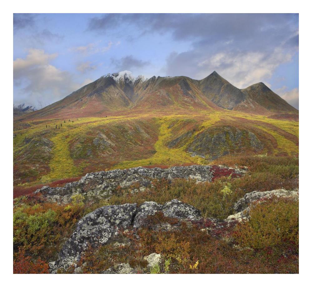 Cloudy Range, Tombstone Territorial Park, Yukon, Canada-Paper Art-24,,X22.02,,