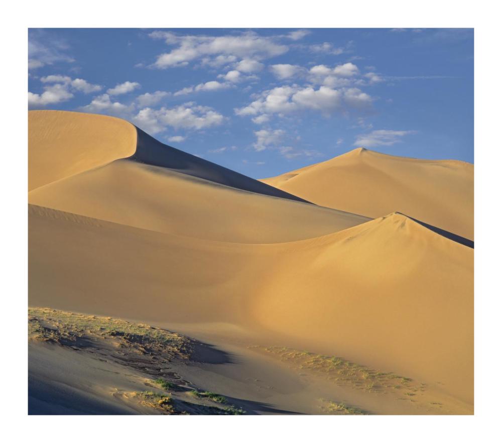 Sand Dunes, Great Sand Dunes National Monument, Colorado-Paper Art-18,,X15.92,,
