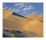 Sand Dunes, Great Sand Dunes National Monument, Colorado-Paper Art-18,,X15.92,,