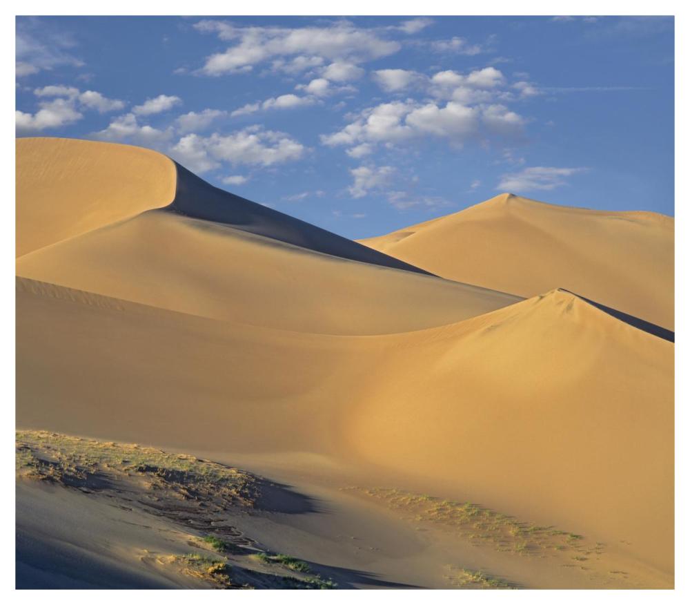 Sand Dunes, Great Sand Dunes National Monument, Colorado-Paper Art-46,,X40.28,,