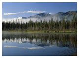 Boreal Forest Along Lake Edge, Nutzotin Mountains, Alaska-Paper Art-18,,X14,,