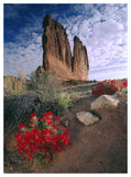 Paintbrush And The Organ Rock, Arches National Park, Utah-Paper Art-38,,X50,,