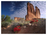 Paintbrush And The Organ Rock, Arches National Park, Utah-Paper Art-42,,X32,,