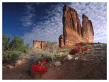 Paintbrush And The Organ Rock, Arches National Park, Utah-Paper Art-50,,X38,,