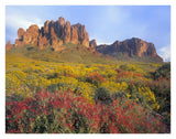 Chuparosa And Brittlebush Superstition Mountains, Arizona-Paper Art-34,,X26,,