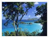 Caribbean Seen Through Trees, Virgin Islands National Park-Paper Art-26,,X20,,
