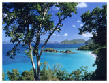 Caribbean Seen Through Trees, Virgin Islands National Park-Paper Art-50,,X38,,