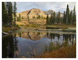 Ruby Range Reflected In Pond, Raggeds Wilderness, Colorado-Paper Art-42,,X32,,