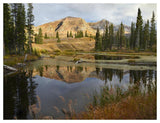 Ruby Range Reflected In Pond, Raggeds Wilderness, Colorado-Paper Art-50,,X38,,