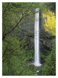 Latourell Falls, Columbia River Gorge Near Portland, Oregon-Paper Art-14,,X18,,
