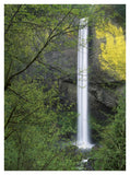 Latourell Falls, Columbia River Gorge Near Portland, Oregon-Paper Art-32,,X42,,