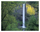 Latourell Falls, Columbia River Gorge Near Portland, Oregon-Paper Art-18,,X14,,