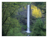 Latourell Falls, Columbia River Gorge Near Portland, Oregon-Paper Art-26,,X20,,