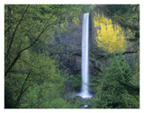 Latourell Falls, Columbia River Gorge Near Portland, Oregon-Paper Art-34,,X26,,