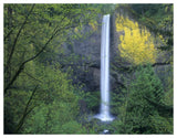 Latourell Falls, Columbia River Gorge Near Portland, Oregon-Paper Art-50,,X38,,
