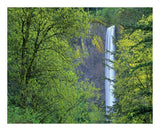 Latourell Falls, Columbia River Gorge Near Portland, Oregon-Paper Art-22,,X18,,