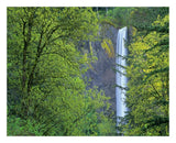 Latourell Falls, Columbia River Gorge Near Portland, Oregon-Paper Art-26,,X22,,