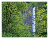Latourell Falls, Columbia River Gorge Near Portland, Oregon-Paper Art-30,,X24,,