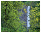 Latourell Falls, Columbia River Gorge Near Portland, Oregon-Paper Art-37,,X30,,