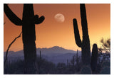 Kitt Peak Under Moon From Saguaro National Monument, Arizona-Paper Art-32,,X22,,