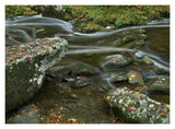 Laurel Creek, Great Smoky Mountains National Park, Tennessee-Paper Art-18,,X14,,