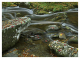 Laurel Creek, Great Smoky Mountains National Park, Tennessee-Paper Art-42,,X32,,