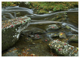 Laurel Creek, Great Smoky Mountains National Park, Tennessee-Paper Art-50,,X38,,