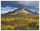 Ogilvie Mountains, Tombstone Territorial Park, Yukon, Canada-Paper Art-50,,X38,,