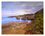 Ice Plant Growing On Cliffs At Bean Hollow Beach, California-Paper Art-30,,X24,,