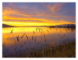Sunrise At San Luis Reservoir, San Joaquin Valley, California-Paper Art-18,,X14,,