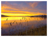 Sunrise At San Luis Reservoir, San Joaquin Valley, California-Paper Art-42,,X32,,