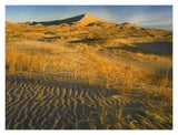 Kelso Dunes And Grasses, Mojave National Preserve, California-Paper Art-18,,X14,,