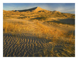 Kelso Dunes And Grasses, Mojave National Preserve, California-Paper Art-26,,X20,,