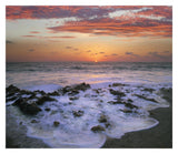 Coast At Sunset, Blowing Rocks Beach, Jupiter Island, Florida-Paper Art-32,,X27.8,,