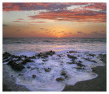 Coast At Sunset, Blowing Rocks Beach, Jupiter Island, Florida-Paper Art-46,,X39.84,,
