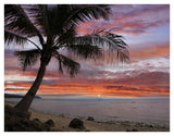 Coconut Palm At Sunset Near Dimiao, Bohol Island, Philippines-Paper Art-42,,X32,,