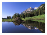 Gothic Mountain And Beaver Lodge, Near Crested Butte, Colorado-Paper Art-26,,X20,,