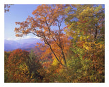 Great Smoky Mountains From, Blue Ridge Parkway, North Carolina-Paper Art-26,,X20,,