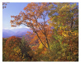 Great Smoky Mountains From, Blue Ridge Parkway, North Carolina-Paper Art-34,,X26,,