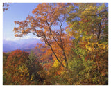Great Smoky Mountains From, Blue Ridge Parkway, North Carolina-Paper Art-42,,X32,,