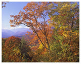 Great Smoky Mountains From, Blue Ridge Parkway, North Carolina-Paper Art-50,,X38,,