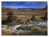 River Flowing Though Meadow, Yellowstone National Park, Wyoming-Paper Art-18,,X14,,